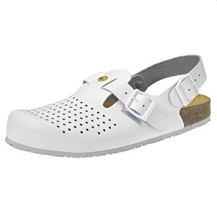 ESD Clog 4050